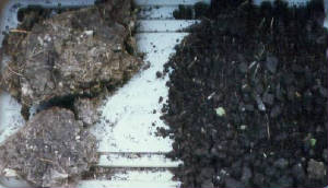 softsoil.jpg